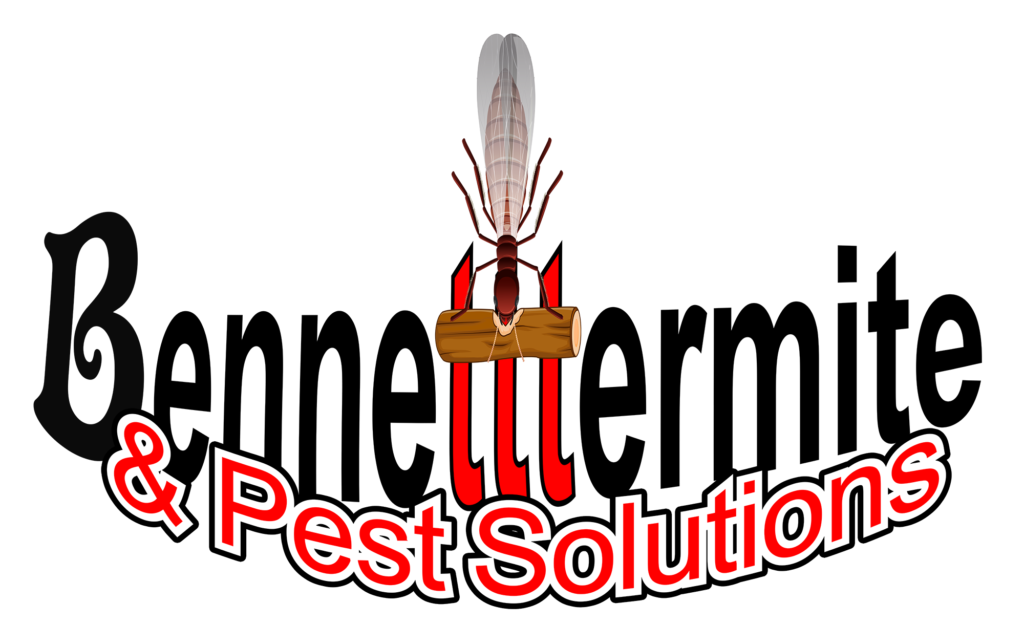 Bed Bugs, Pests, Crawl Space Encapsulation