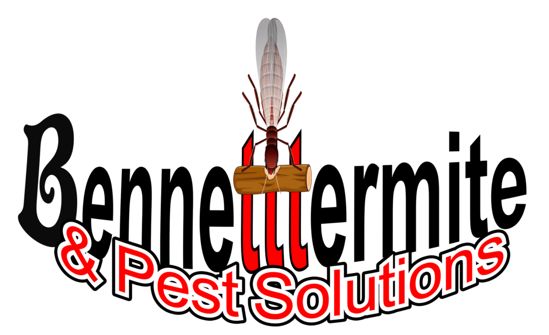 Women in Pest Control Termite and Pest Solutions