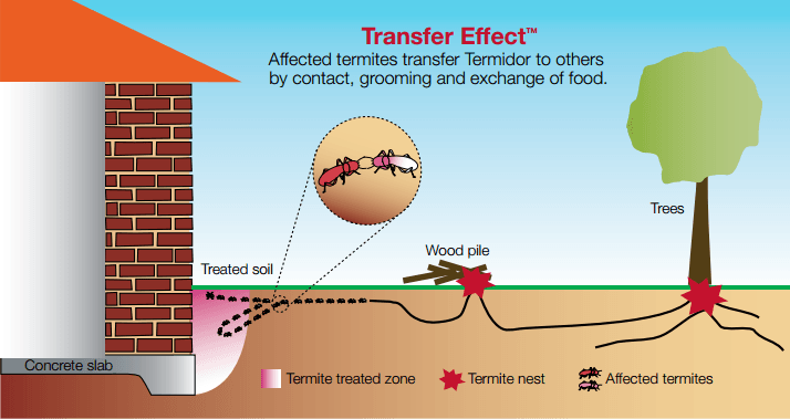 termite baits and liquid termiticides products to get rid of termites 1 orig