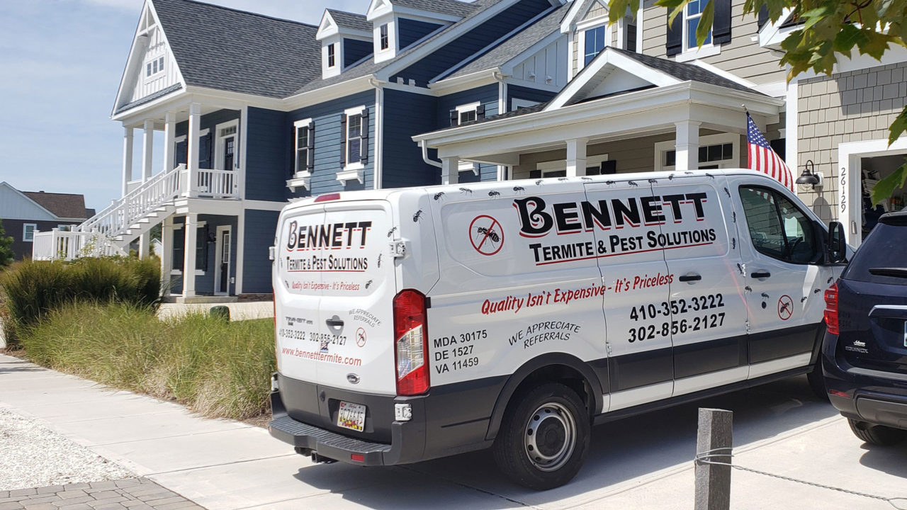 Careers Termite and Pest Solutions