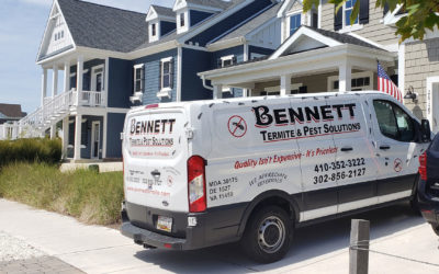 Quarterly Pest Control Service