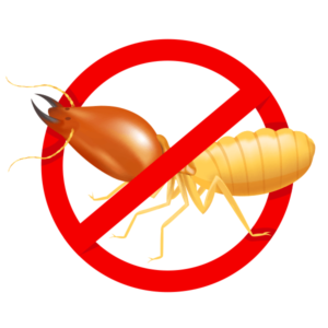 termite icon