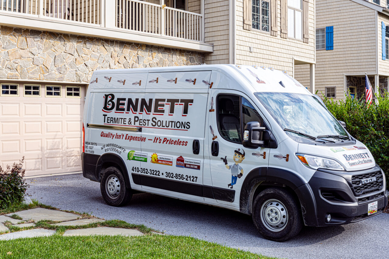 Termite Pests, Bed Bugs, Crawl Space Encapsulation