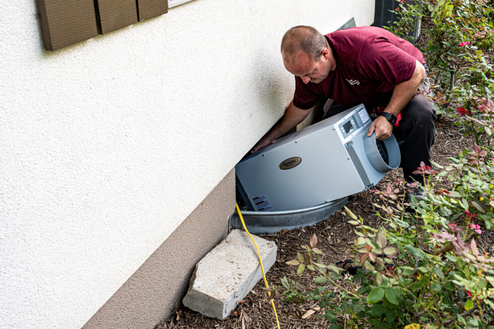 Termite Pests, Bed Bugs, Crawl Space Encapsulation
