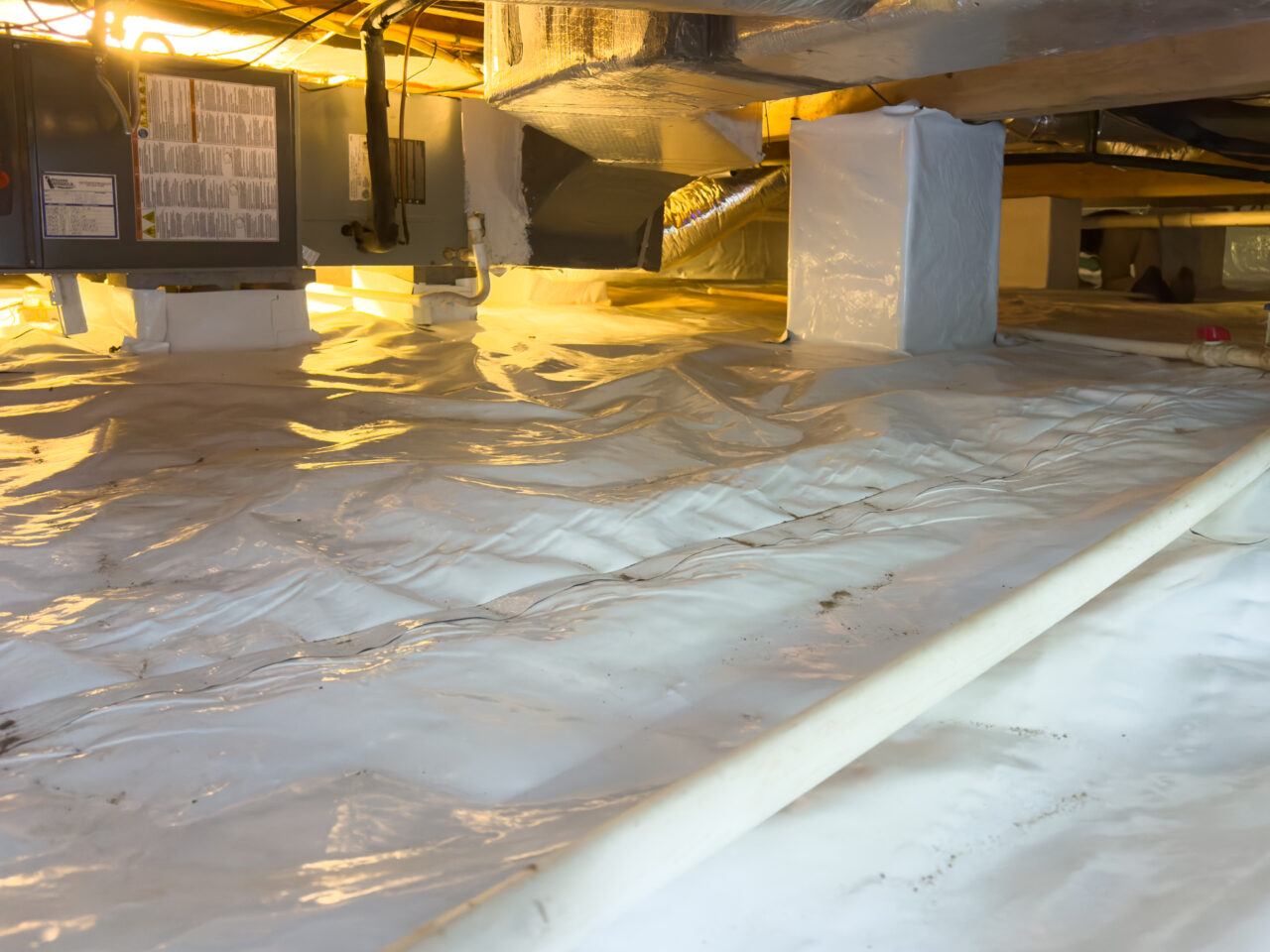 Termite Pests, Bed Bugs, Crawl Space Encapsulation