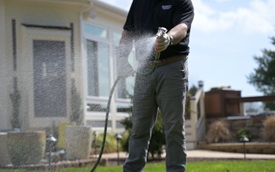 Top 5 Spring Pest Control Tips Every Homeowner Should Know
