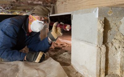 Home Termite Inspection: The First Step to Protecting Your Property
